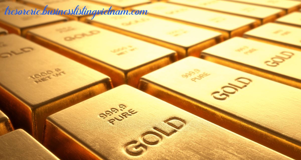 tresorerie.businesslistingvietnam.com